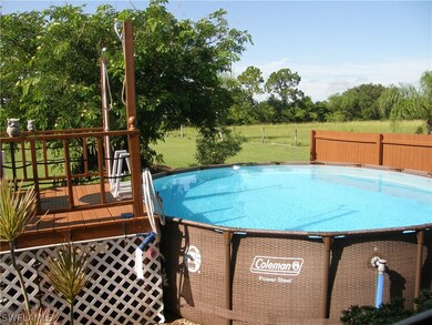 Pool & Deck
