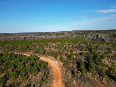 0 Rd, Lumpkin, GA 31815 - photo 5