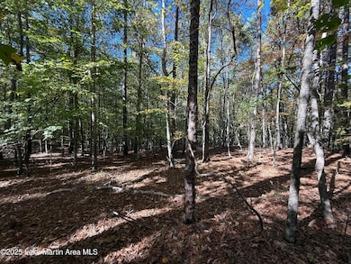 Lot 8 S Fern Ridge, Dadeville, AL 36853 - photo 2