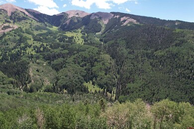 TBD Forest Service Road 567, Mancos, CO 81328 - photo 7