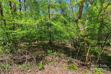 TBD Whispering Woods Path, Mars Hill, NC 28754 - photo 2