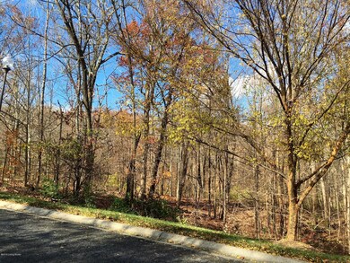 3100 hardwood forest