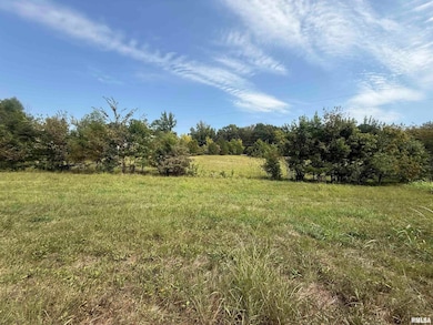 00 Wood Rd, Murphysboro, IL 62966 - photo 3