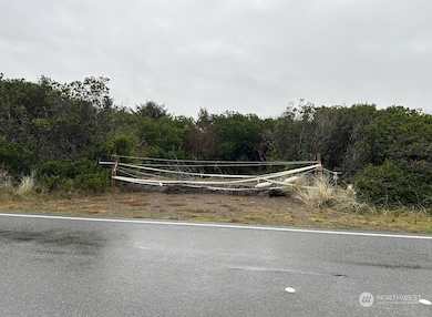 942 Ocean Shores Blvd SW, Ocean Shores, WA 98569 - photo 6