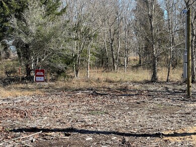 1320 Cypress Trail Loop, Rockdale, TX 76567 - photo 5