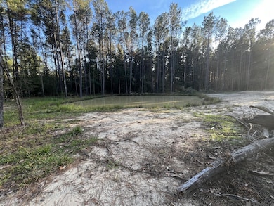 14333 Springfield Rd, Walker, LA 70785 - photo 6