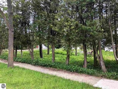 LOT 173 Ottawa unit 173, Elk Rapids, MI 49629 - photo 3