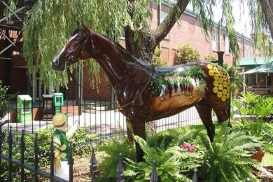 Downtown Aiken