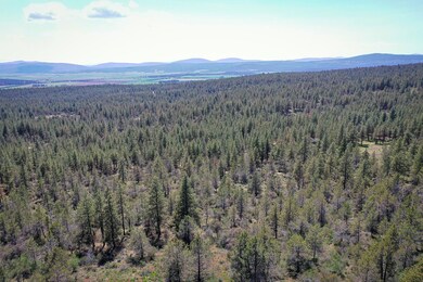 0 Chicken Hawk unit 25693843, Bonanza, OR 97623 - photo 5