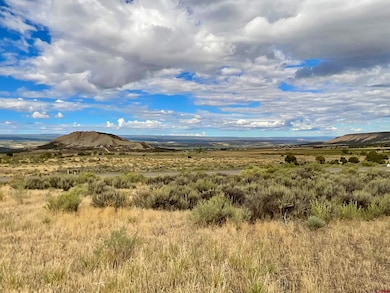 TBD Lot 22 7250 Rd, Montrose, CO 81403 - photo 3