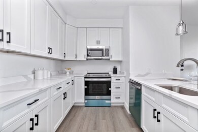 64 Alpine St unit 203, Boston, MA 02119 - photo 3