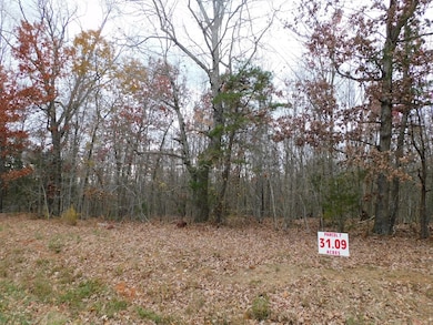 31.09 Ac Brights Rd, Gretna, VA 24557 - photo 2