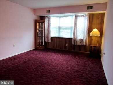 824 South Ave unit P1, Secane, PA 19018 - photo 5