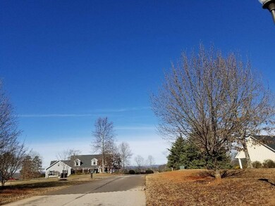 104 Falcons View Ct, Walhalla, SC 29691 - photo 3