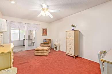 11135 W Emerald Dr, Sun City, AZ 85351 - photo 5