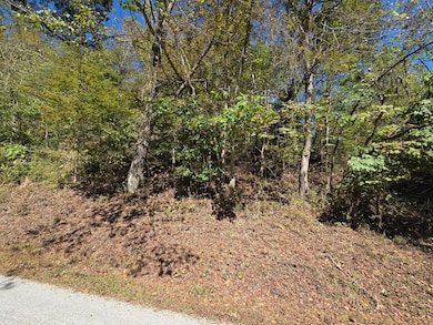 0 Newells Run Rd, Marietta, OH 45750 - photo 3