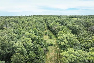 29405 Highway 63, Edgar Springs, MO 65462 - photo 5