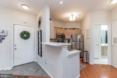 13068 Autumn Woods Way unit 102, Fairfax, VA 22033 - photo 3