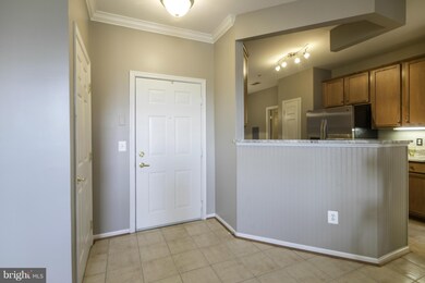 411 Hamlet Club Dr unit 301, Edgewater, MD 21037 - photo 6