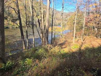 0WP Harvard Rd unit LotWP001, Hancock, NY 13756 - photo 5