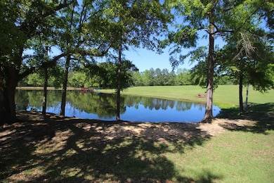 Lake across from home