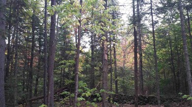 840 Kinsman Rd, Grafton, NH 03240 - photo 3