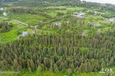 34960 Seabury Ct, Anchor Point, AK 99556 - photo 4