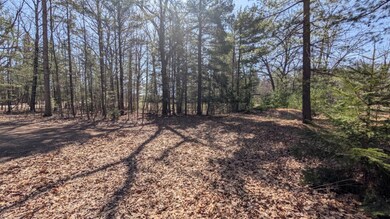 5764 W Bryant Rd, Ludington, MI 49431 - photo 5