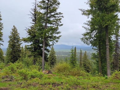 Mountain views
