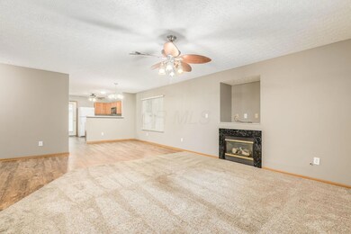 Fireplace with direct vent