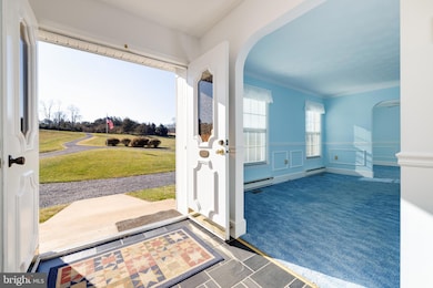 313 Pass Run Rd, Luray, VA 22835 - photo 4