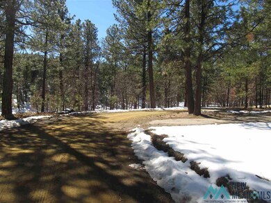 Once the surveyor marks the LOTs.  We will change out pictures.