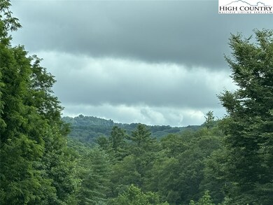 00 Laurel Chase Dr, Blowing Rock, NC 28605 - photo 4