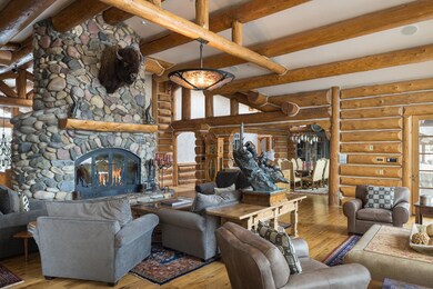 Living and fireplace