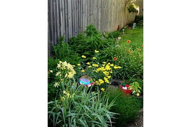 Yard/Garden.