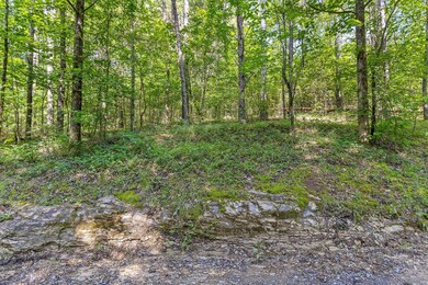 Tract 3 Conniston Rd, Chatsworth, GA 30705 - photo 3