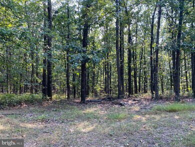 0 Whiskey Still Rd, Berkeley Springs, WV 25411 - photo 5