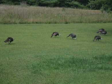 31446 Fremont Ave, Tomah, WI 54660 - photo 3