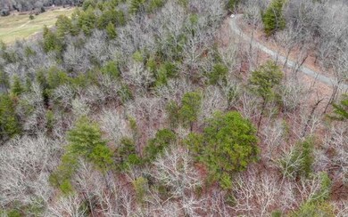 Additional View
