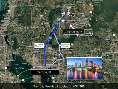 4001 Fox Ridge Blvd, Wesley Chapel, FL 33543 - photo 4