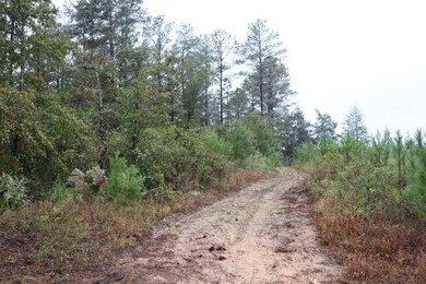 0 Poll Mill Rd, Tazewell, GA 31803 - photo 7