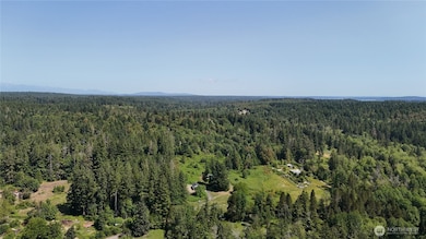 18771 & 19789 Erickson Rd SW, Longbranch, WA 98351 - photo 6