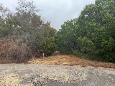 25030 Forrest Dr, Whitney, TX 76692 - photo 4