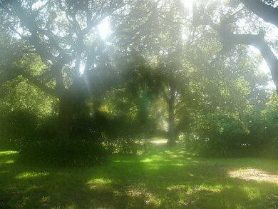 Land/Lot.
