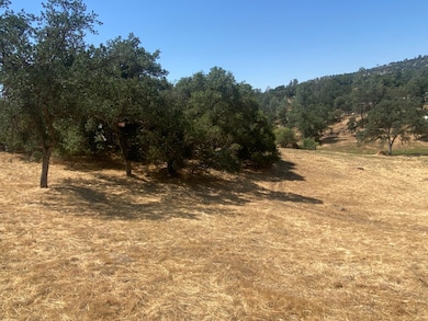 17 Titan Way, Yosemite Lakes, CA 93614 - photo 6