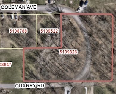 2077 Coleman Ave, Akron, OH 44312 - photo 6