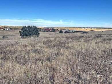 TBD-L309 Morgan, Colorado City, CO 81019 - photo 6