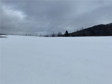 8470 Tabors Corner Rd, Springwater, NY 14572 - photo 2