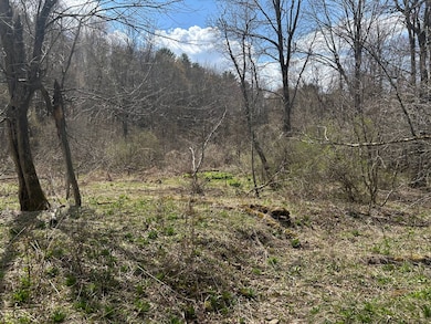 0 Houghtaling Hollow Rd unit 11452107, East Meredith, NY 13757 - photo 7