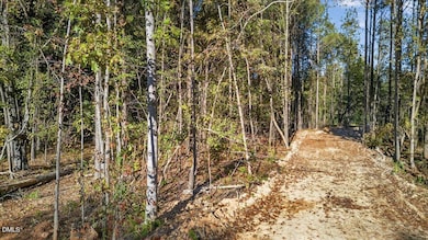 09-020_DJI_20251017162525_0718_D